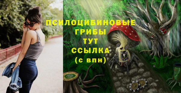сатива Алексеевка