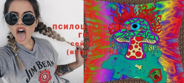 сатива Алексеевка