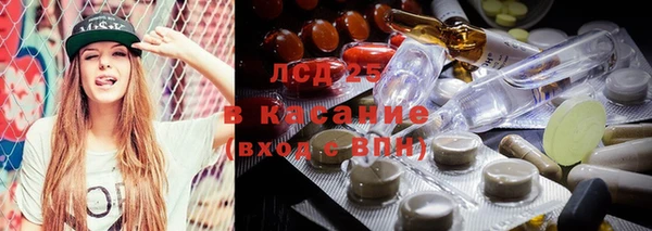 сатива Алексеевка