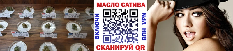 ссылка на мегу зеркало  наркотики  Дмитров  Дистиллят ТГК Wax 