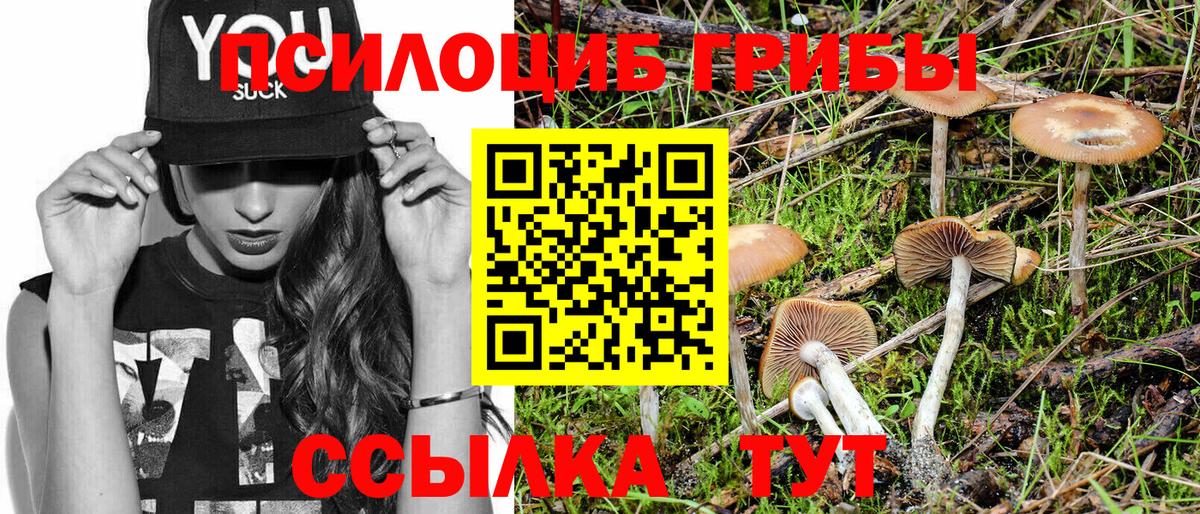 Псилоцибиновые грибы мухоморы Дмитров