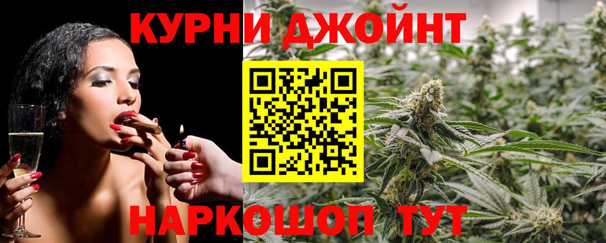Каннабис план Дмитров